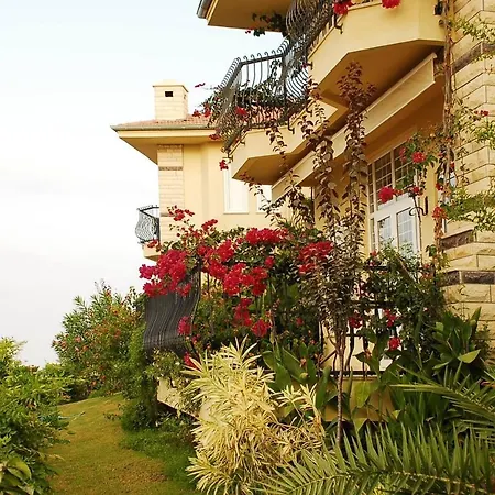 Gold City 3+1 Privet Pool Apartment Kargicak (Alanya)